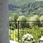 L'airone Cenerino *
