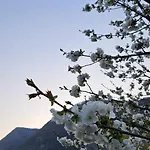 L'airone Cenerino Canzo
