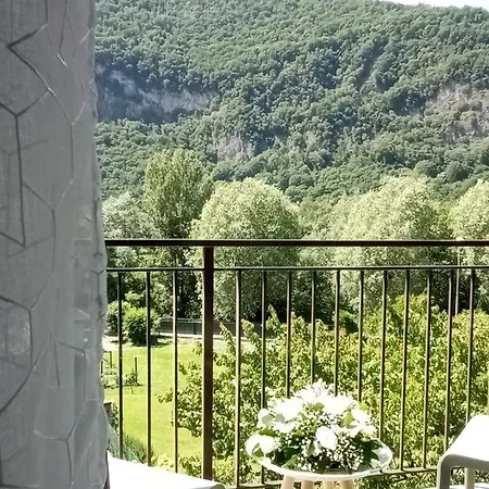 L'airone Cenerino *