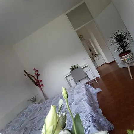 L'airone Cenerino Appartement Canzo