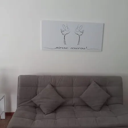 L'airone Cenerino * Canzo