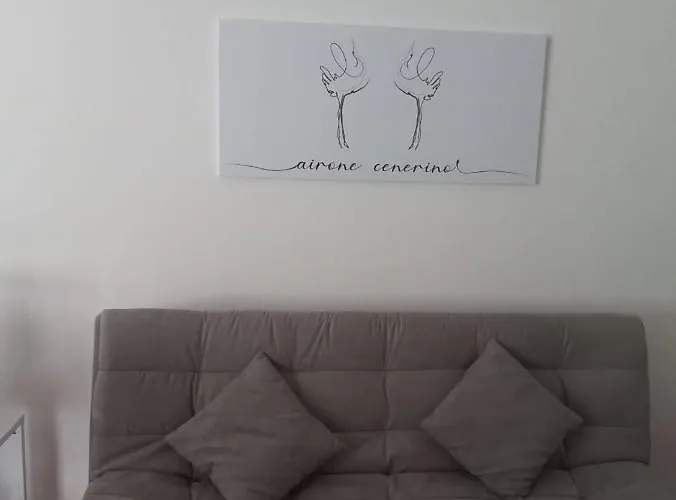 L'airone Cenerino * Canzo