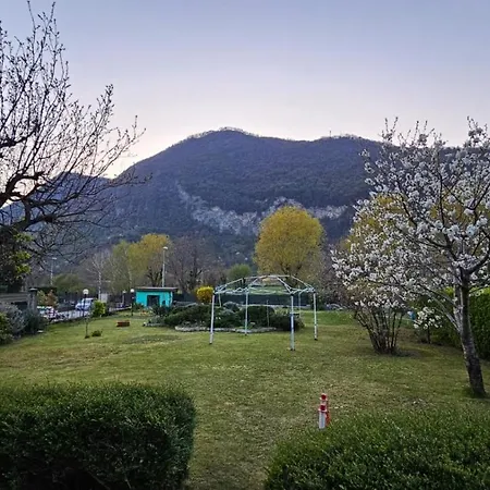 L'airone Cenerino