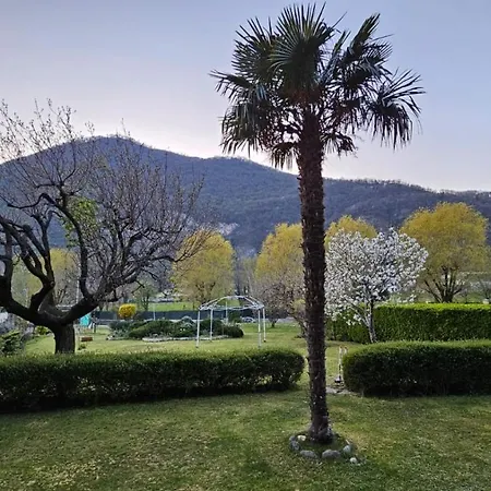 L'airone Cenerino *